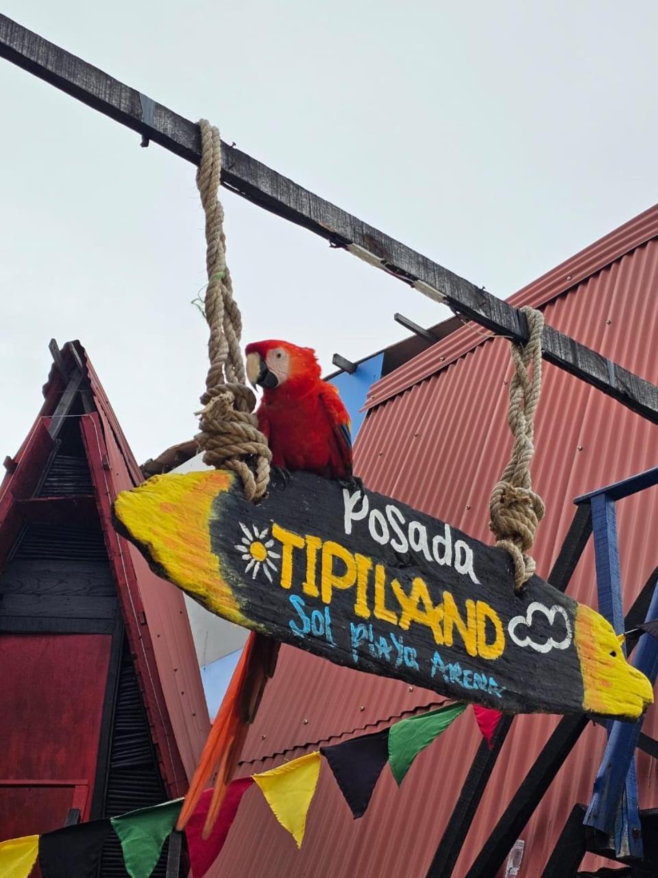 Tipiland Baru La Casa Del Mono Otel Playa Blanca Dış mekan fotoğraf